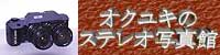 立体写真 - オクユキのステレオ写真館